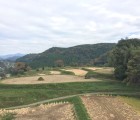 棚田
