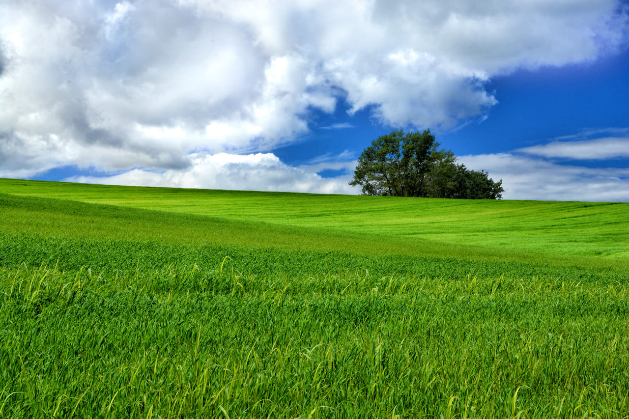 ぱくたそフリー素材「北海道にある大草原の風景」