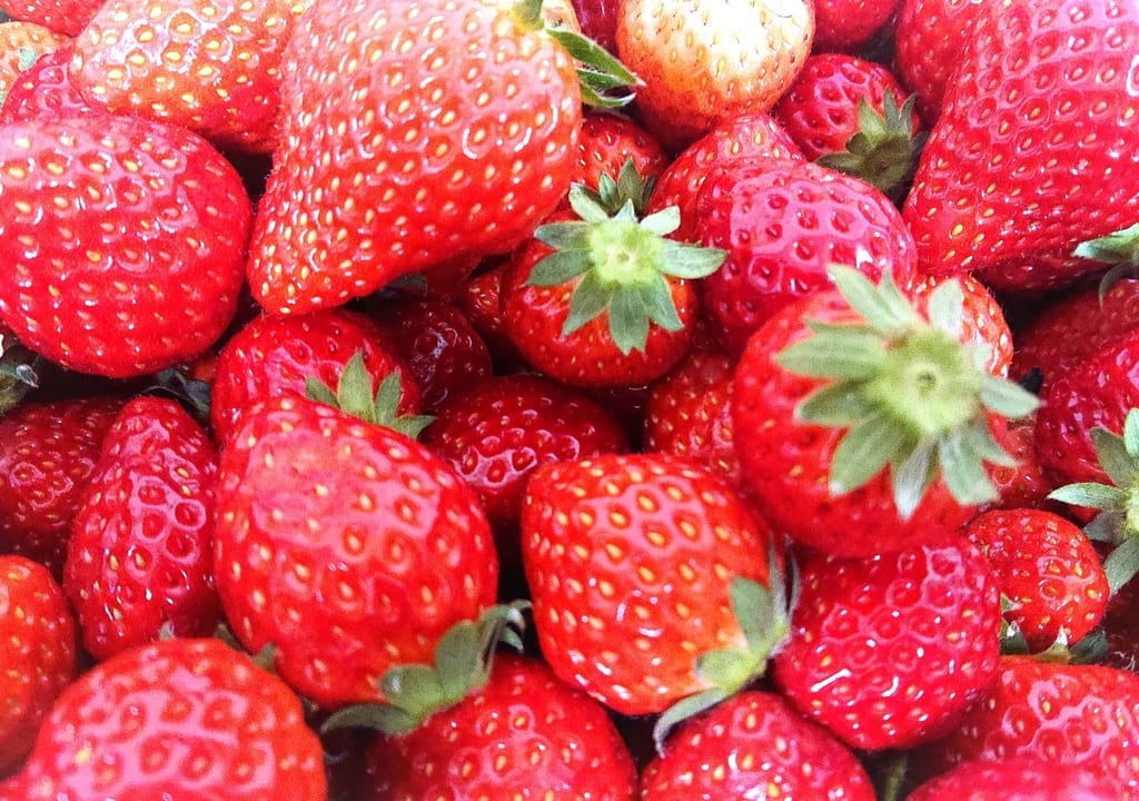 写真ACフリー素材「苺」