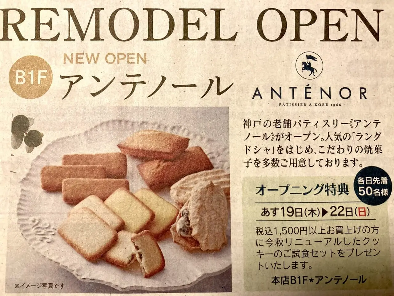 2024年トキハ本店「アンテノール」