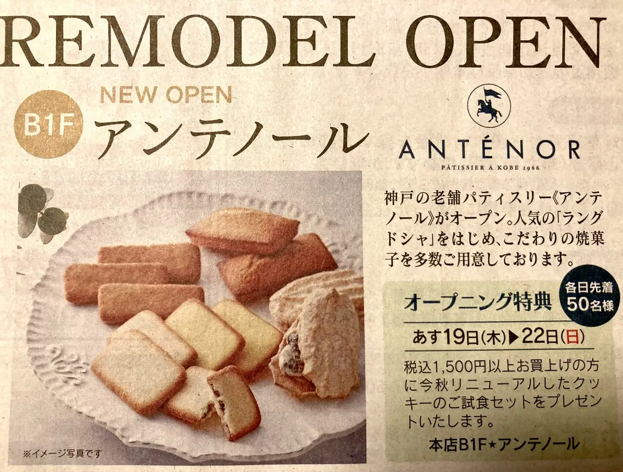 2024年トキハ本店「アンテノール」