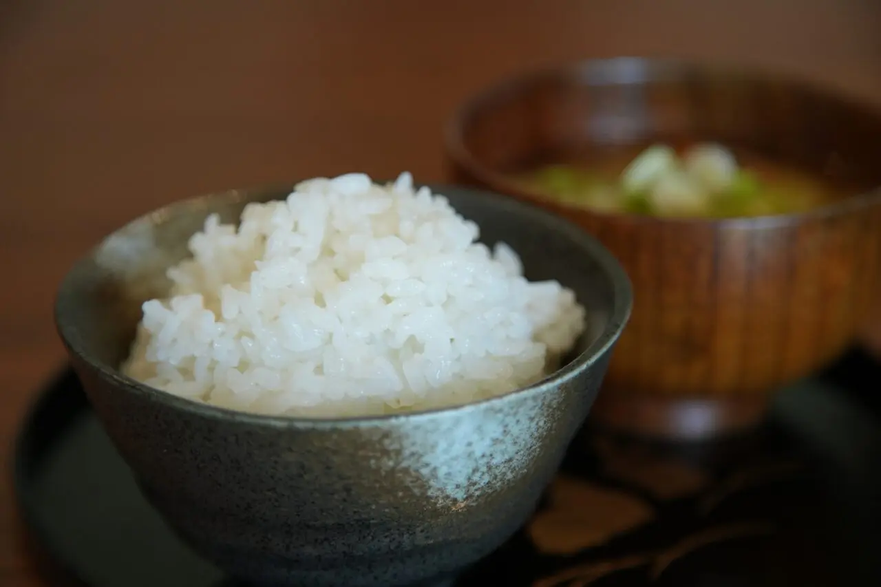 写真acフリー素材「ごはん」