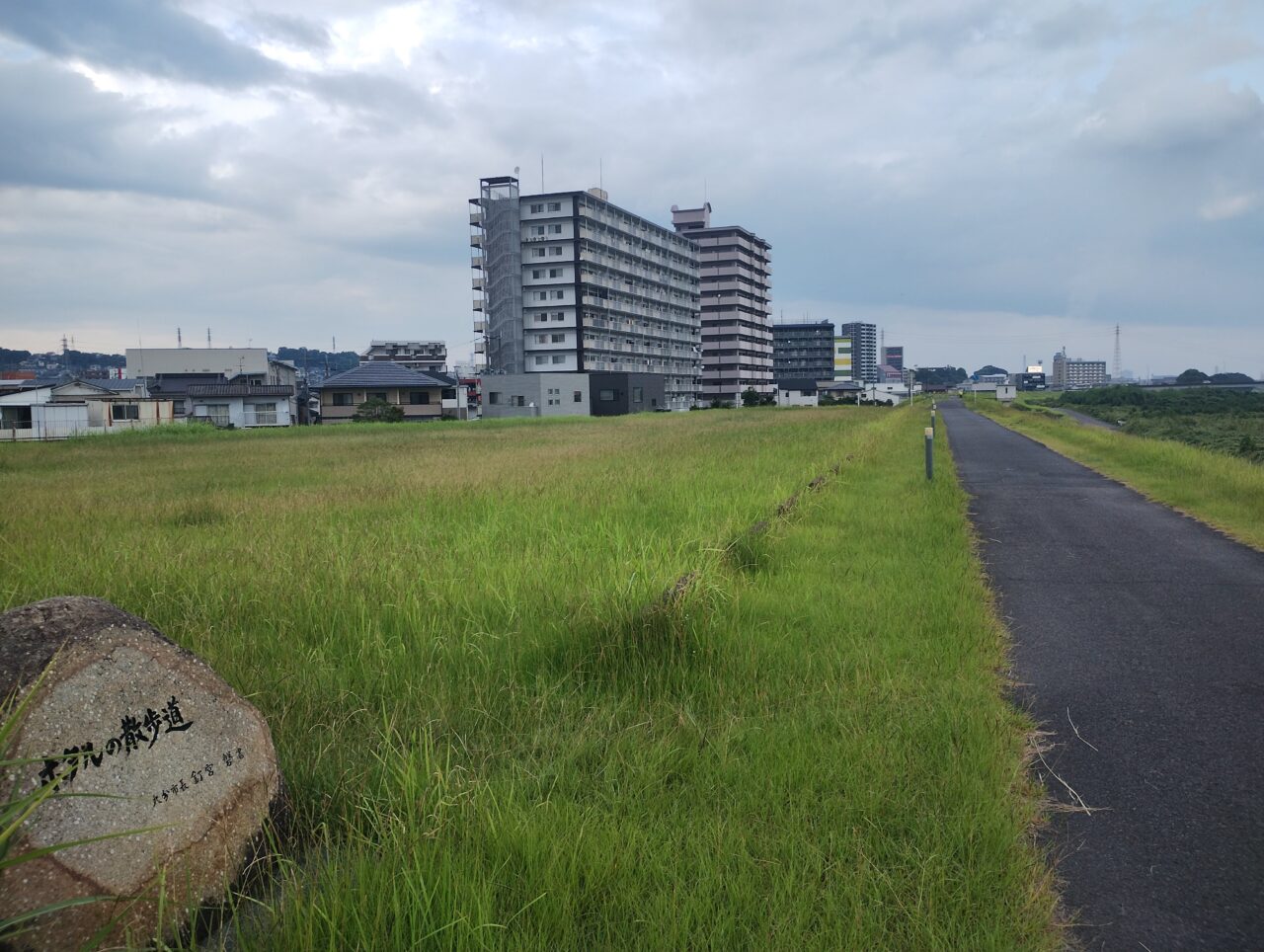 ベンチ