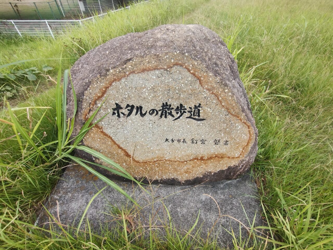 ホタルの散歩道