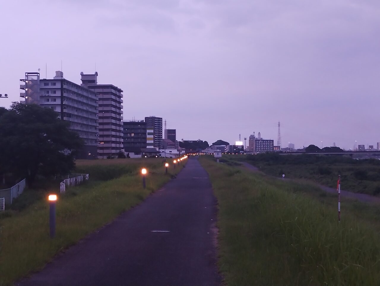 左撮影(夜)
