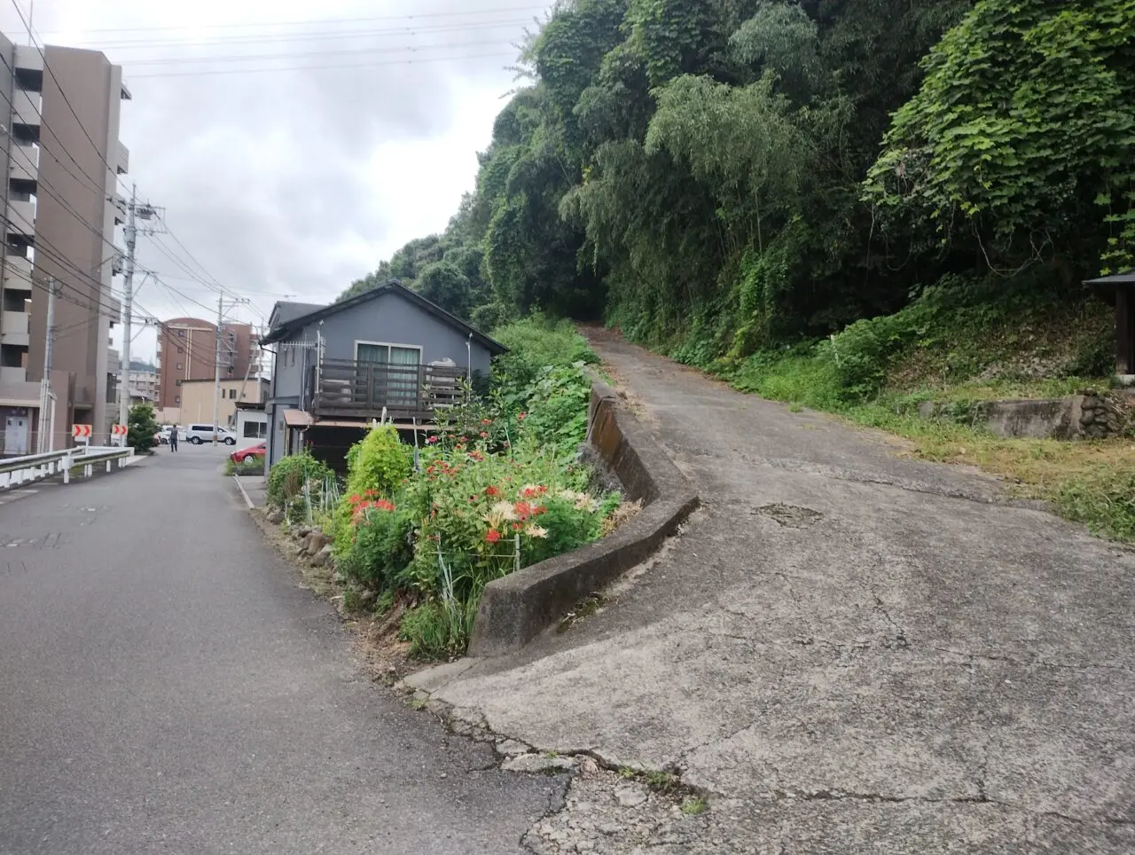山道