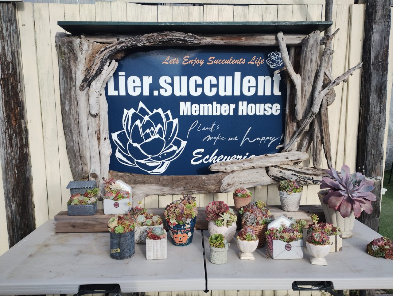 リエールサキュレント