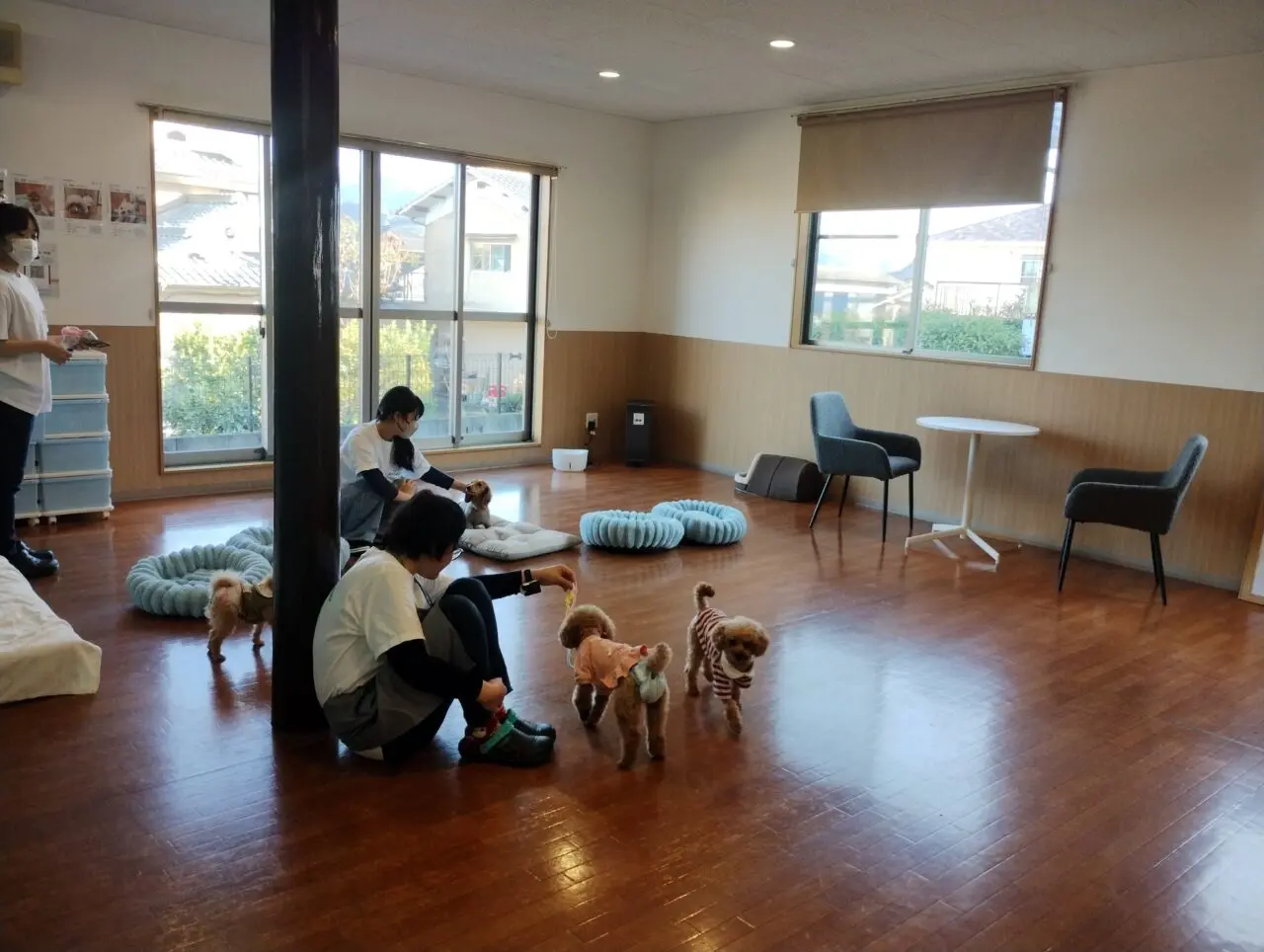 ワンちゃんコーナー