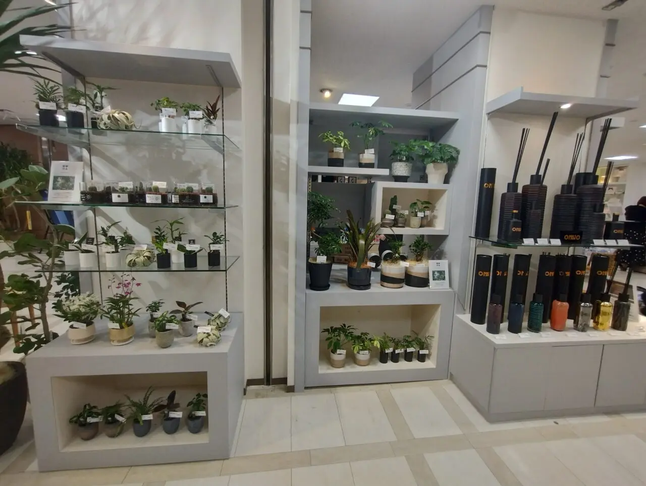 アロマとグリーン