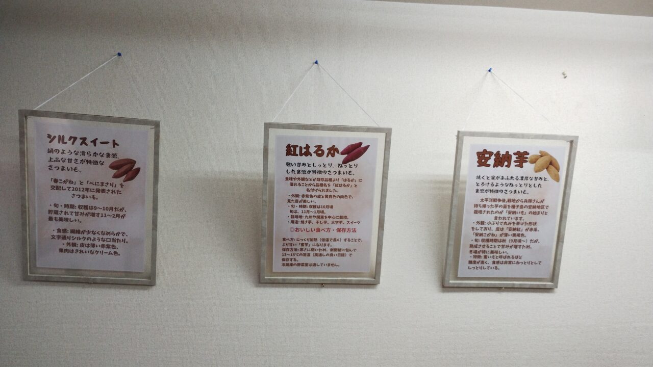 使用しているイモ