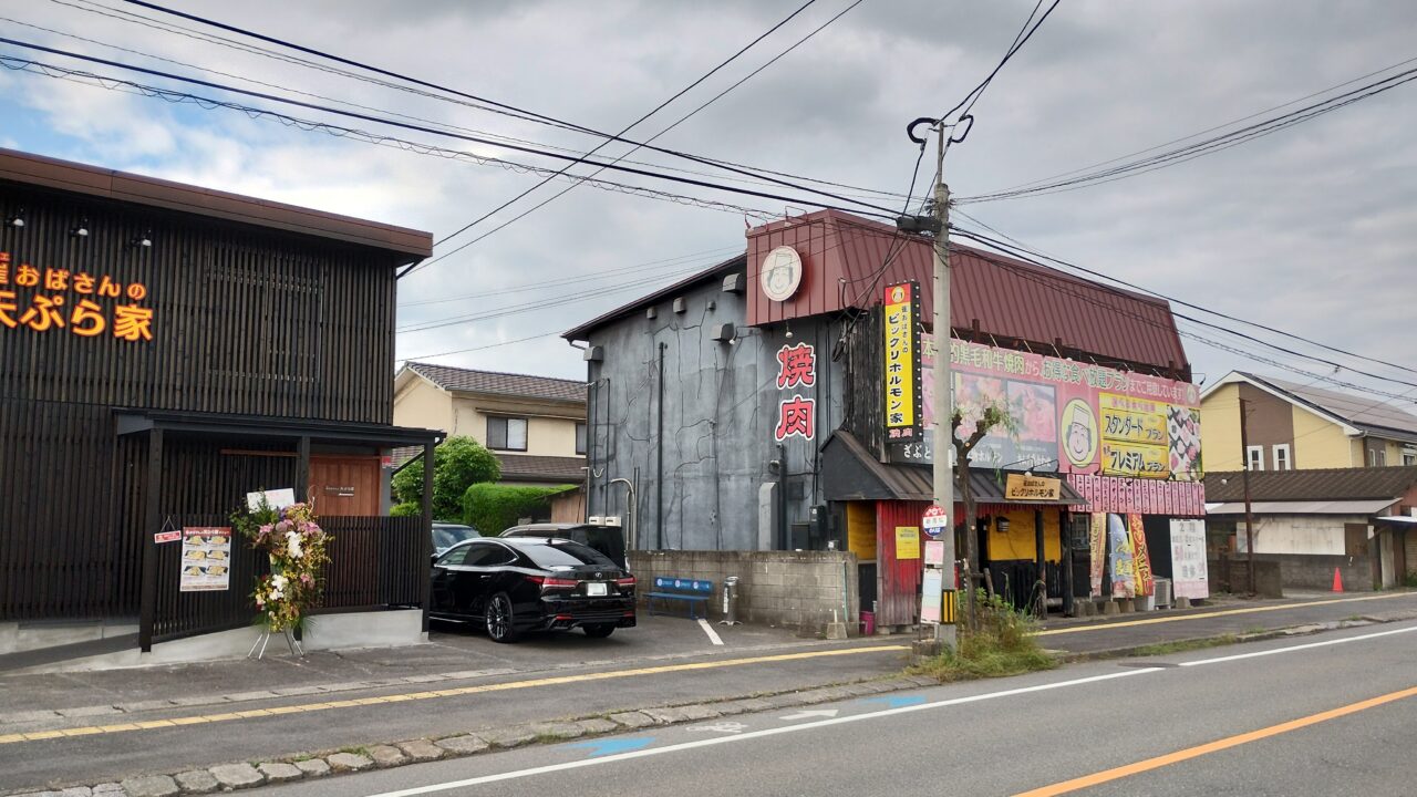 ビックリホルモン
