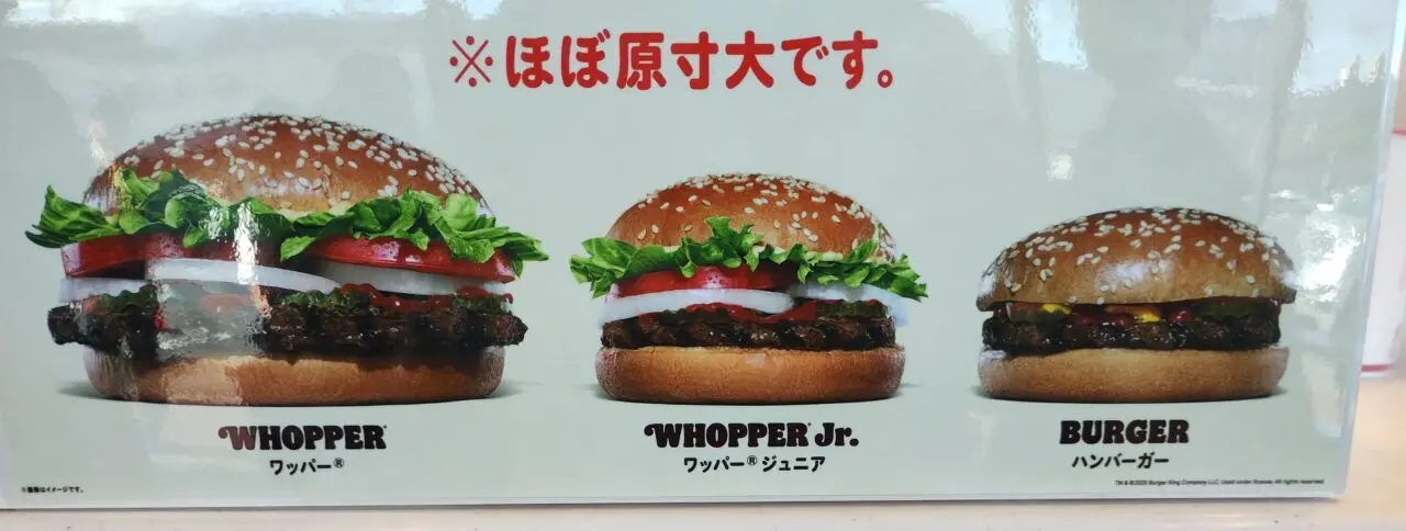 サイズ比較