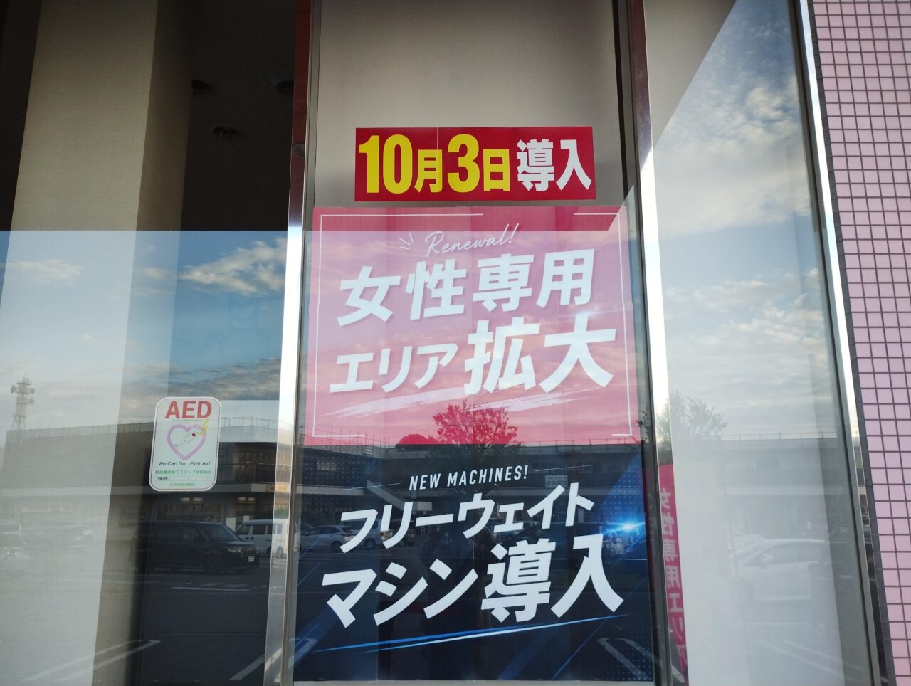 導入内容