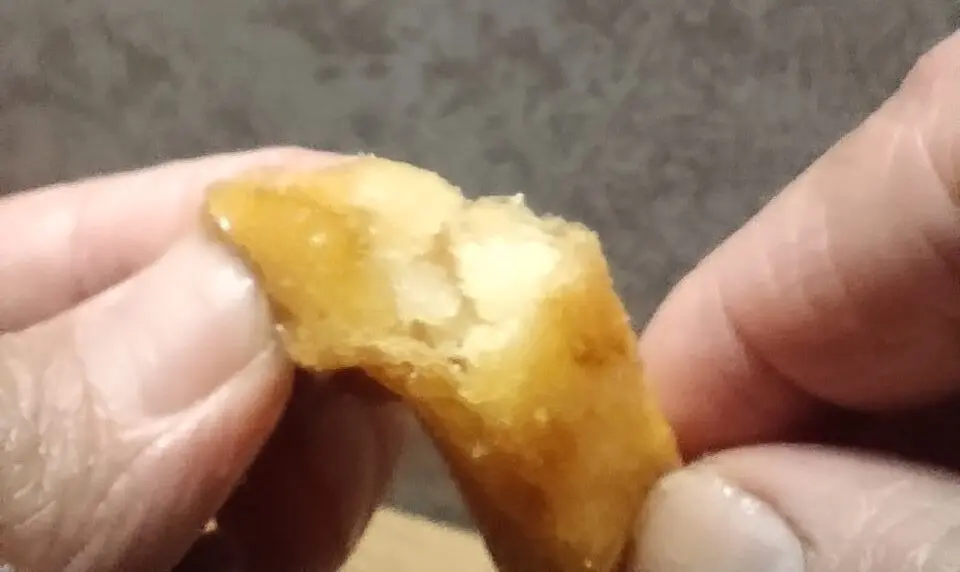 フリッツ断面